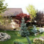 adelaparvu.com despre gradina unei case de familie la Iasi peisagist Claudiu Ivascu (5)