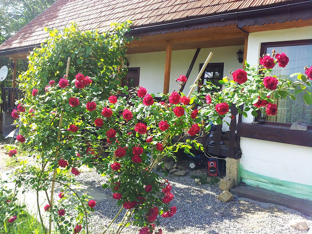 adelaparvu.com despre casa traditionala reconditionata Brasov (1)