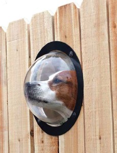 adelaparvu.com despre geam in gard pentru caini, PetPeek Fence Window, Foto Amazon (1)