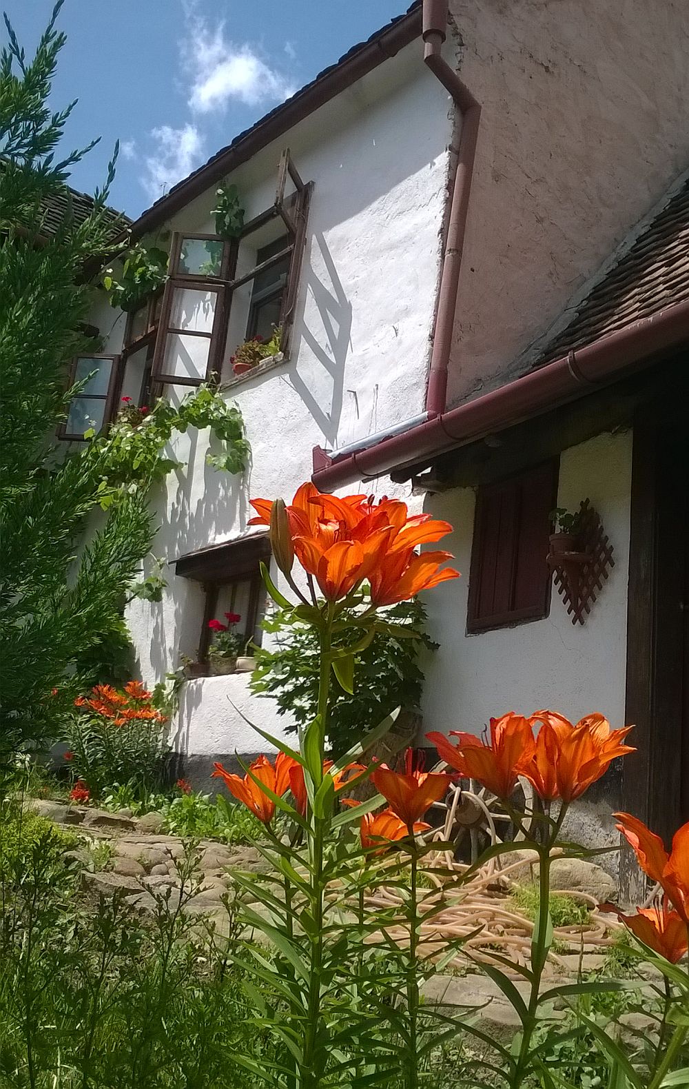 adelaparvu.com despre pensiunea Casa cu Zorele, case traditionale transilvanene, bedandbreakfast Crit, Transilvania, Romania (32)