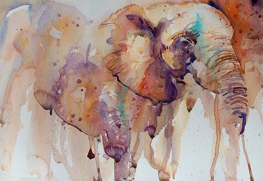 adelaparvu.com despre acuarele, pictura in acuarela, artist Jean Haines, Elephants