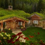 adelaparvu.com despre casa din lemn cu acoperis verde, Foto Vail Custom Builder (5)