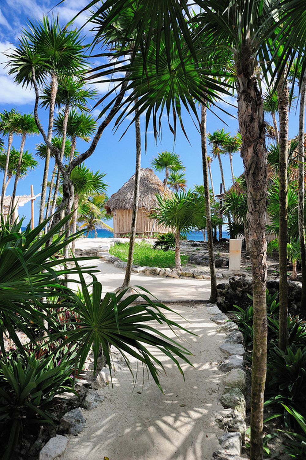 adelaparvu.com despre Papaya Playa,Mexic, hotel eco, Foto Design Hotels  (16)