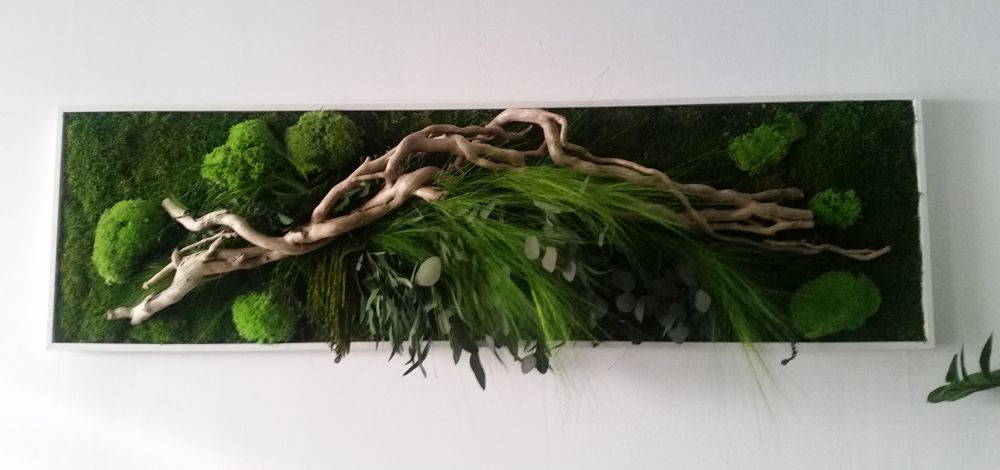 adelaparvu.com despre tablouri cu plante stabilizate, design Arta Gradinilor, Bucuresti (5)